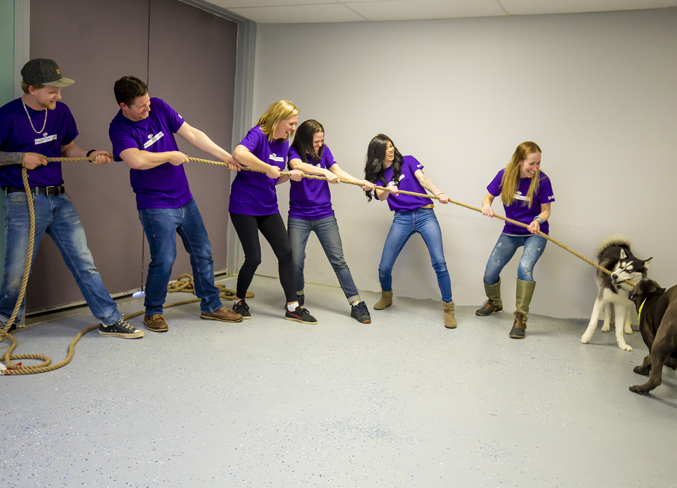 tug of war rope calgary